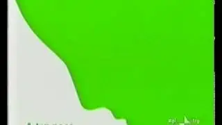 Bumper Rai 3