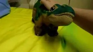 The Cute Pleo At Night!