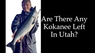 2023 Kokanee Season Update