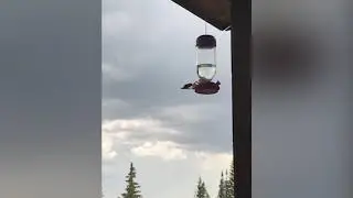 Grand Lake Colorado