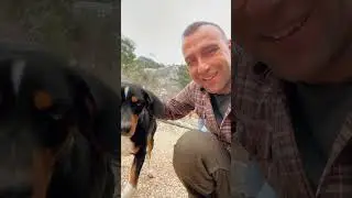 Ahşap bahçe evimizde mezgit ve mısır ekmeği yaptık