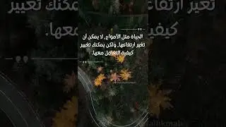 الحياة مثل الأمواج، لا يمكن أن تغير ارتفاعها، ولكن يمكنك تغيير كيفية التعامل معها   أوبرا وينفري