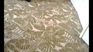 Видео0022