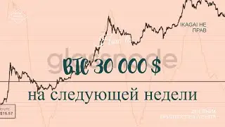 На следующей недели BTC пробьёт 30 тысяч долларов