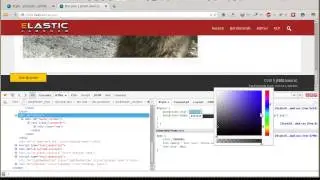 Using firebug with the STYLE tab