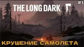 Крушение самолёта в зимнем мире (the logn dark)