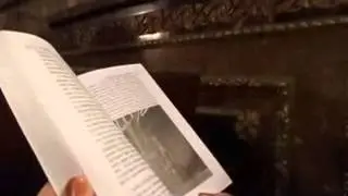 Богемный или Зеленый Петербург?