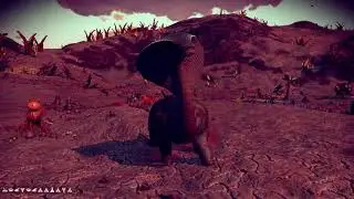 No Man's Sky Companions - Awesome Pet Locations  - Diplos - Robots - Weirdos