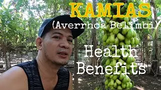 KAMIAS (AVERRHOA BILIMBI) KALAMYAS CUCUMBER TREE