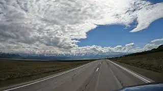 Курай 090624