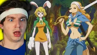 THE MINK TRIBE!! (one piece reaction)