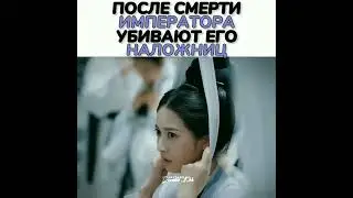 29 декабря 2022 г.
