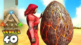 NASCIMENTO DOS PRIMEIROS BEBÊS WYVERNS!!! ARK: SCORCHED EARTH (VANILLA) 40