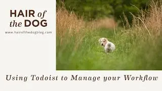 Using Todoist for a Photography Workflow