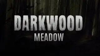 Darkwood - Ambient - Meadow (1 hour)
