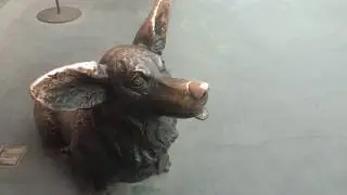 Вечный 