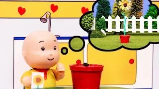 Caillou und die Sonnenblume | Caillou auf Deutsch