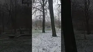 Петербургская весна