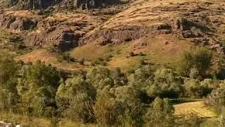 Mera 1