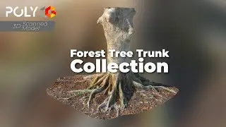Forest Tree Trunks 3D Models | Realistic 3D Scans with PBR Textures | SpeedTree & Software Ready
