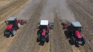 Massey Ferguson Tarla Yarışları