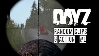 Random Clips & Action #1 DayZ [Engl]