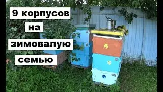 Семья Цебро снова на 9 корпусах