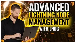 ⚡️ Advanced Bitcoin Lightning Network Node Management With LNDG