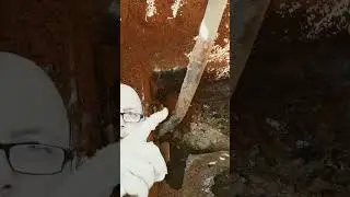 Inside a septic tank, 2 feet thick of toilet paper and feminine products!