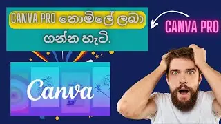 Canva pro නොමිලේ ලබා ගන්න හැටි.