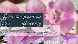 Новая поставка | Обзор красоты | Новинки