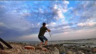 Sea fishing. Roach fishing with a feeder rod (donk rig). Sea of ​​Azov, Yeysk.