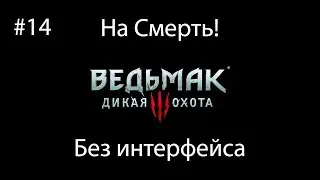 Ведьмак 3: Дикая Охота (На смерть! Без интерфейса) #14. История Цири. Из тени