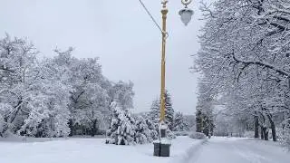 13 февраля 2019 г.