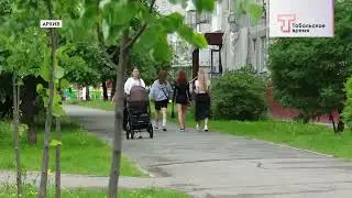 ОЗЕЛЕНЕНИЕ