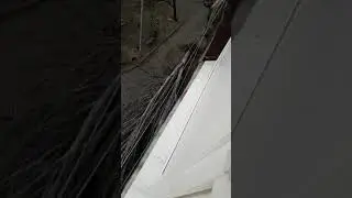 Николаев и шторм