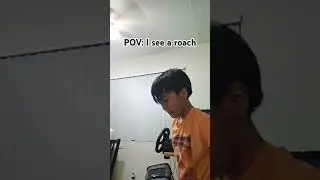 POV