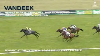 Tattersalls Craven Breeze Up Sale 2024