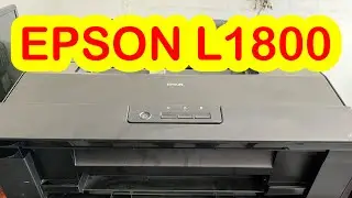EPSON L1800 CHANGE MOTOR (DINAMO)