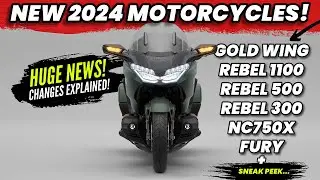 NEW 2024 Motorcycles Released! Gold Wing, Rebel, NC750X + MORE!