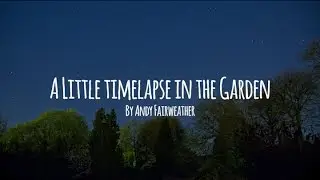 A Little Timelapse of the garden