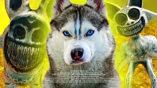 НАСТОЯЩАЯ ИСТОРИЯ ЗООНОМАЛЕЙ!! Полная версия!