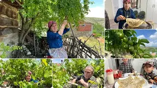 Sarma yaprağı topladık öğlen yemeği