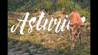 OWN WAY - Viaje Asturias