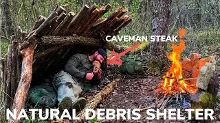 Solo Overnight With 5 Items Building a Natural Shelter with a Tomahawk Bacon Ribeye Cooked on a Rock