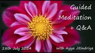 Guided Meditation + Q&A with Ayya Jitindriya ~ Sunday 28th July @ 7am AEST