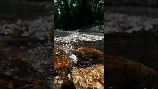 Не тратьте свое тепло на того, кому оно не нужно.. #shorts