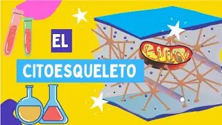 El Citoesqueleto