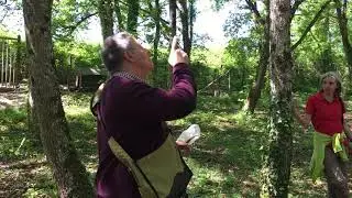 Truffle farm