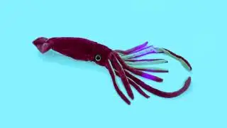 SQUID PLUSHIE 3